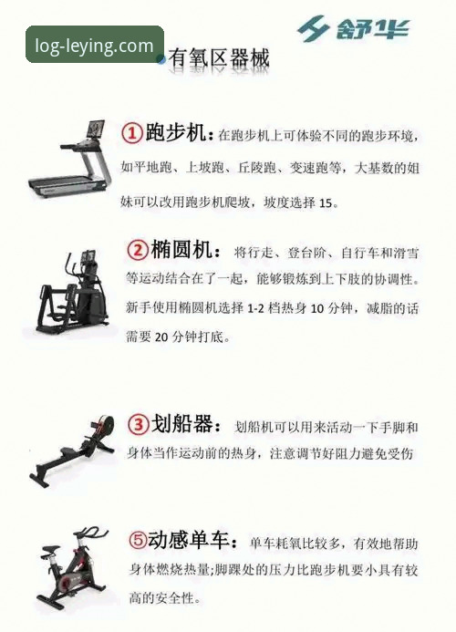 乐盈平台官网必备 乐盈体育平台官网必备功能详解与使用指南